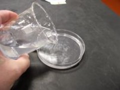 tn_Chromatography Challenge 006